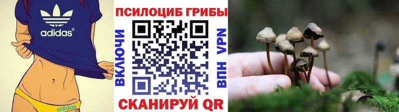 купить наркоту Дегтярск ссылка на мегу tor Галлюциногенные грибы GOLDEN TEACHER
